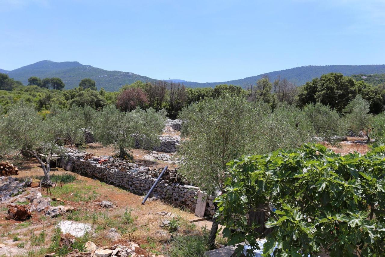 Apartments By The Sea Drace, Peljesac - 10127 エクステリア 写真